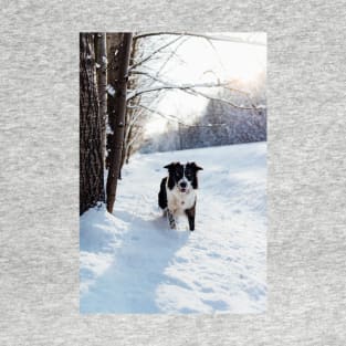 Border Collie T-Shirt